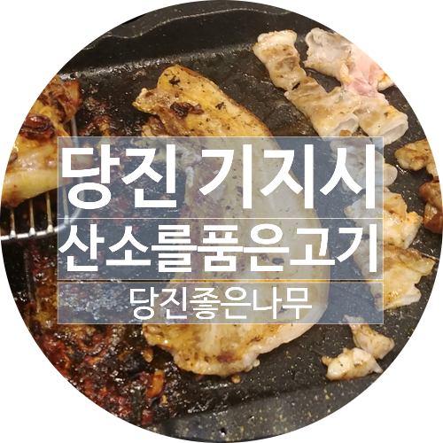 산소를품은고기 이미지