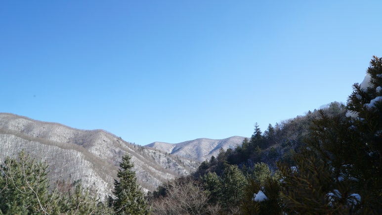 명신관광 이미지