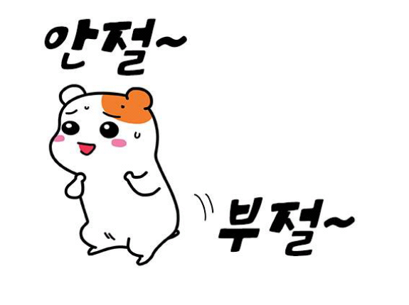 현자전거 이미지
