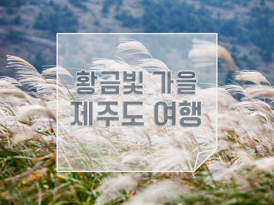 서라벌여행사 이미지