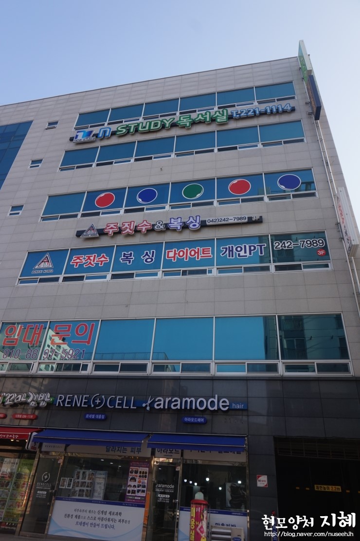 엔스터디 이미지