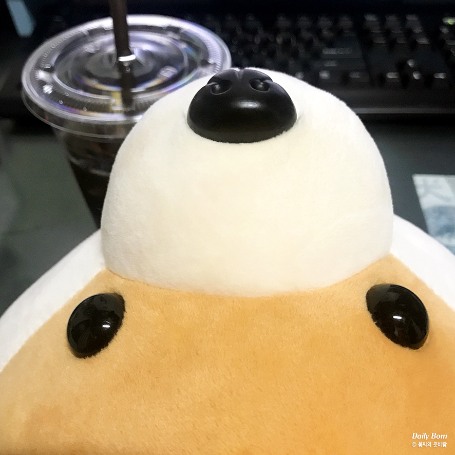 스위터즈 이미지