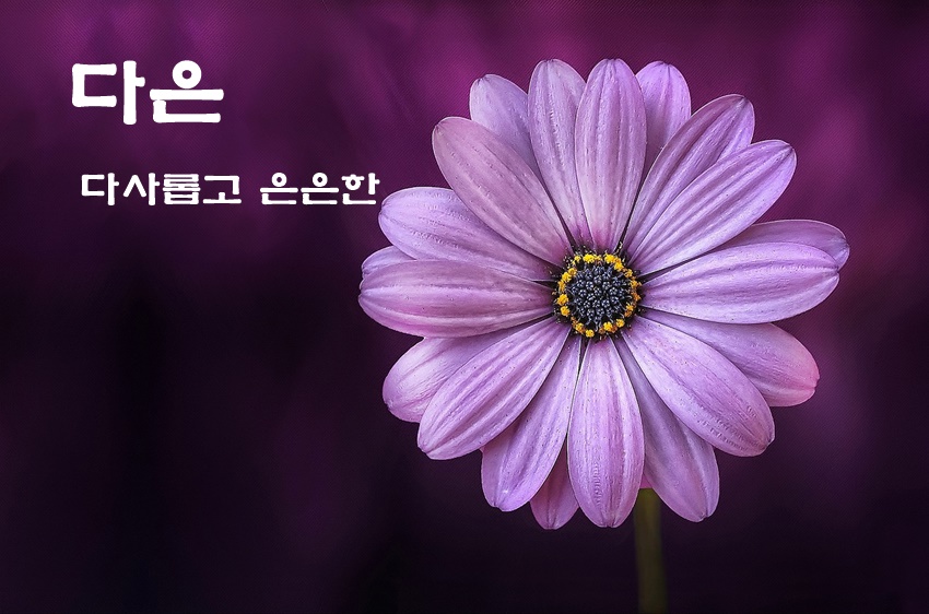 늘솜늘품 이미지