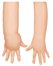 더뉴로메카닉 이미지