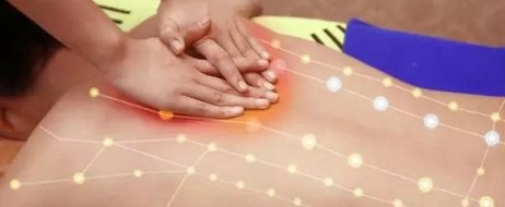 신진전기 이미지