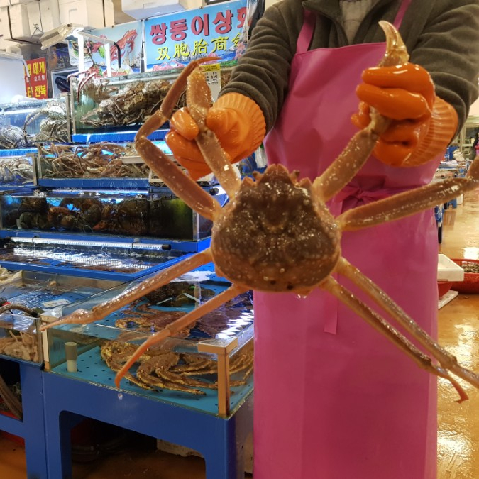 쌍둥이상회 이미지