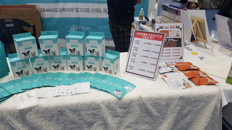 빛돌커뮤니케이션 이미지