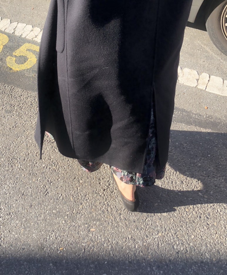 코스모수선 이미지