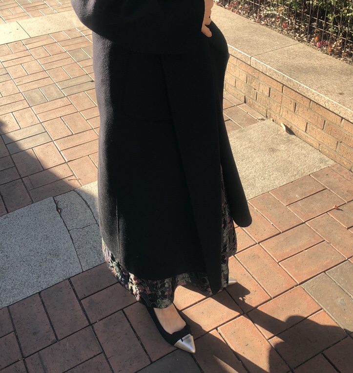 코스모수선 이미지