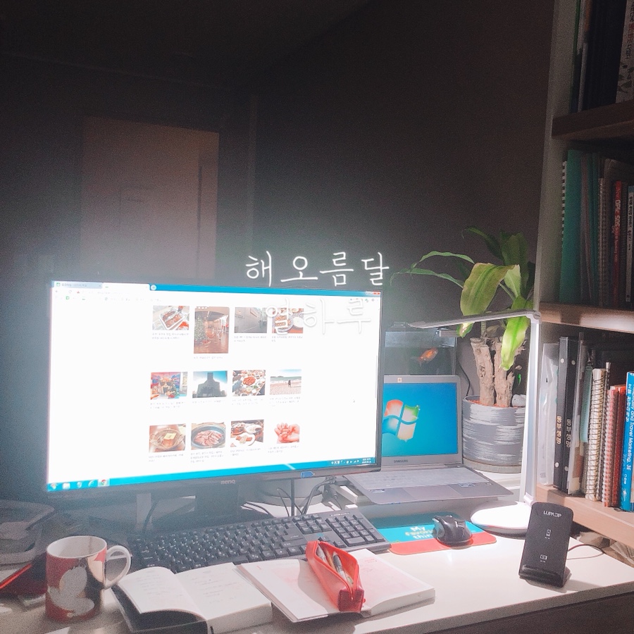 해오름달열하루 이미지