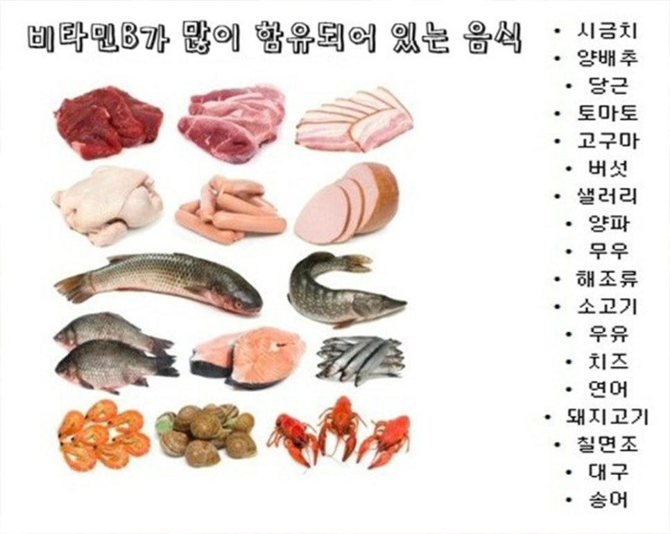 미의창조 이미지