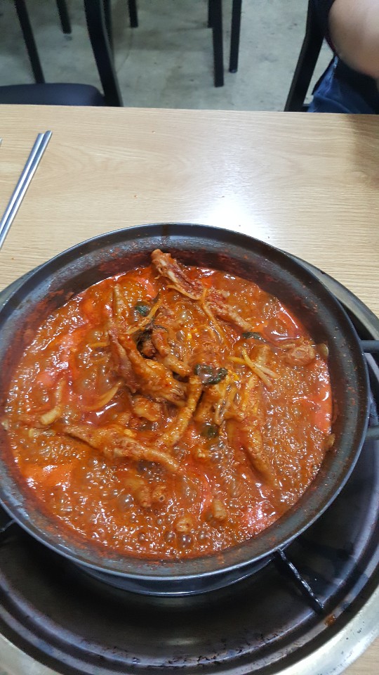 다 오리 이미지