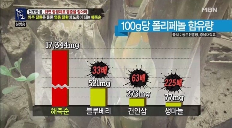 폴리팜 이미지