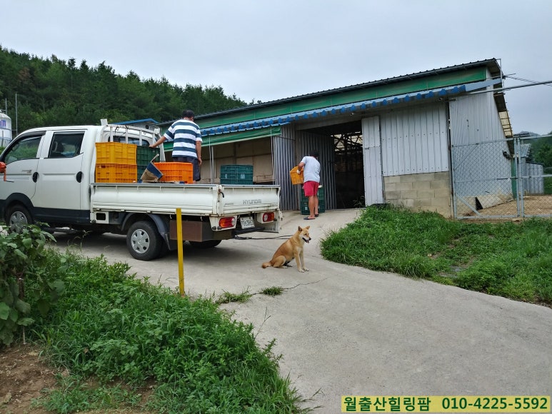 곰보배추힐링팜 이미지