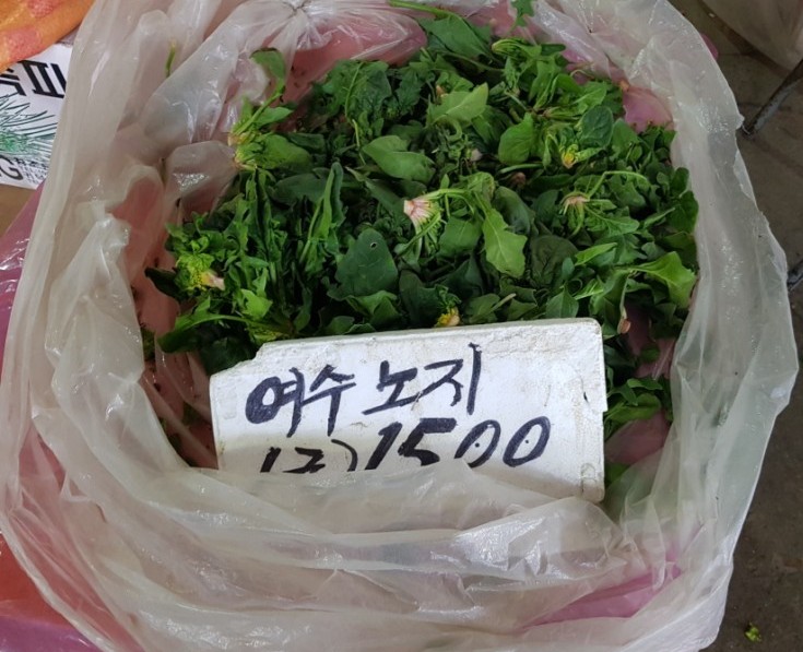 월드푸드신중국식품 이미지