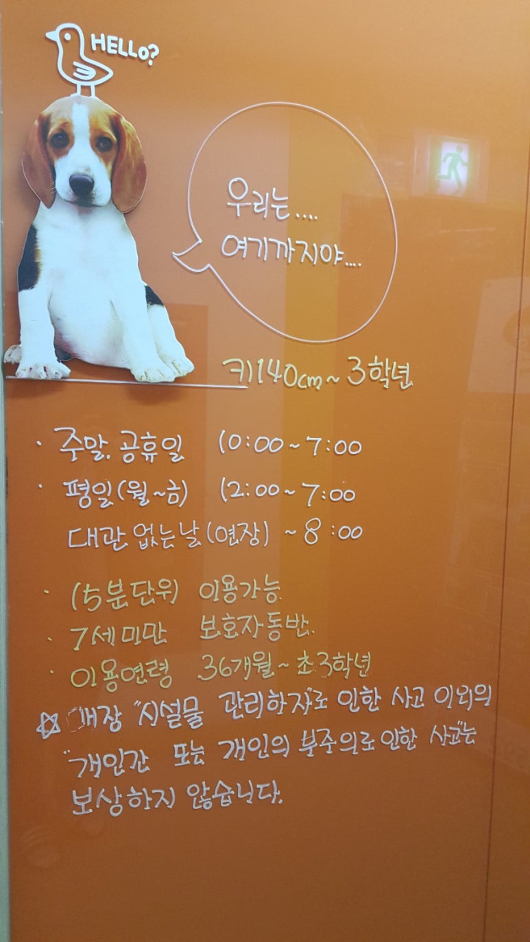 닥터방방 이미지