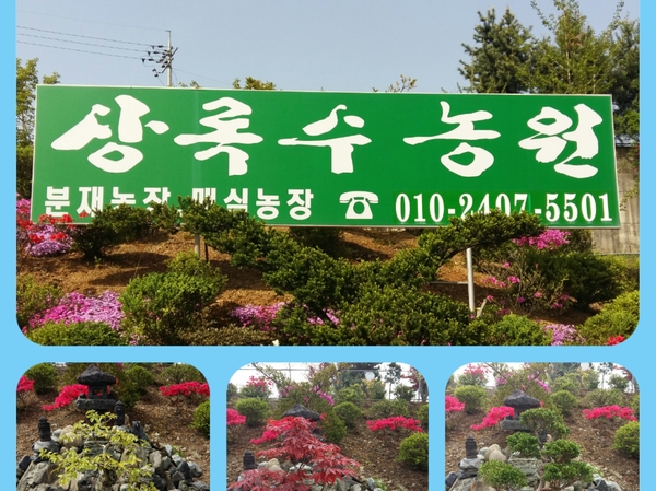 상록수농원 이미지