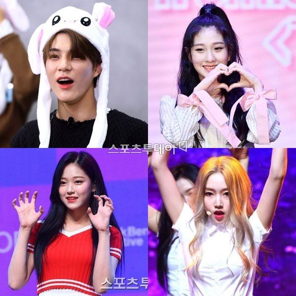 성인기획 이미지