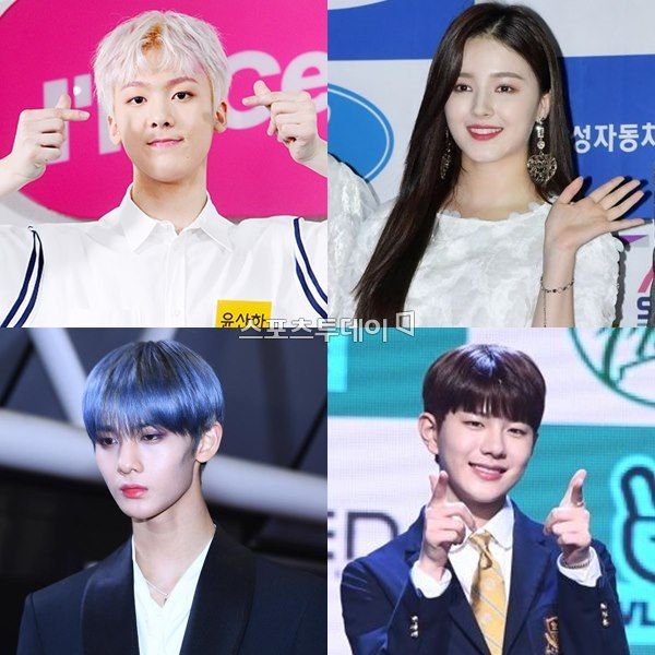 성인기획 이미지