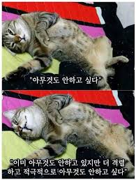 우림미디어 이미지