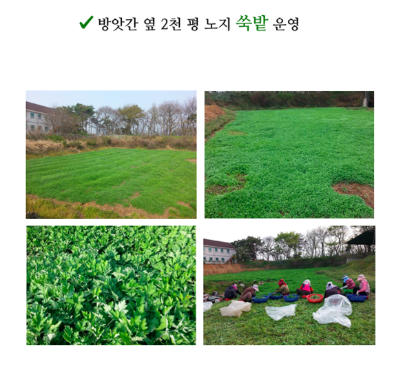 청결떡방앗간 이미지