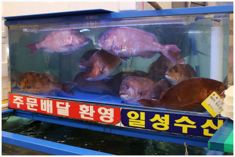 일성수산 이미지