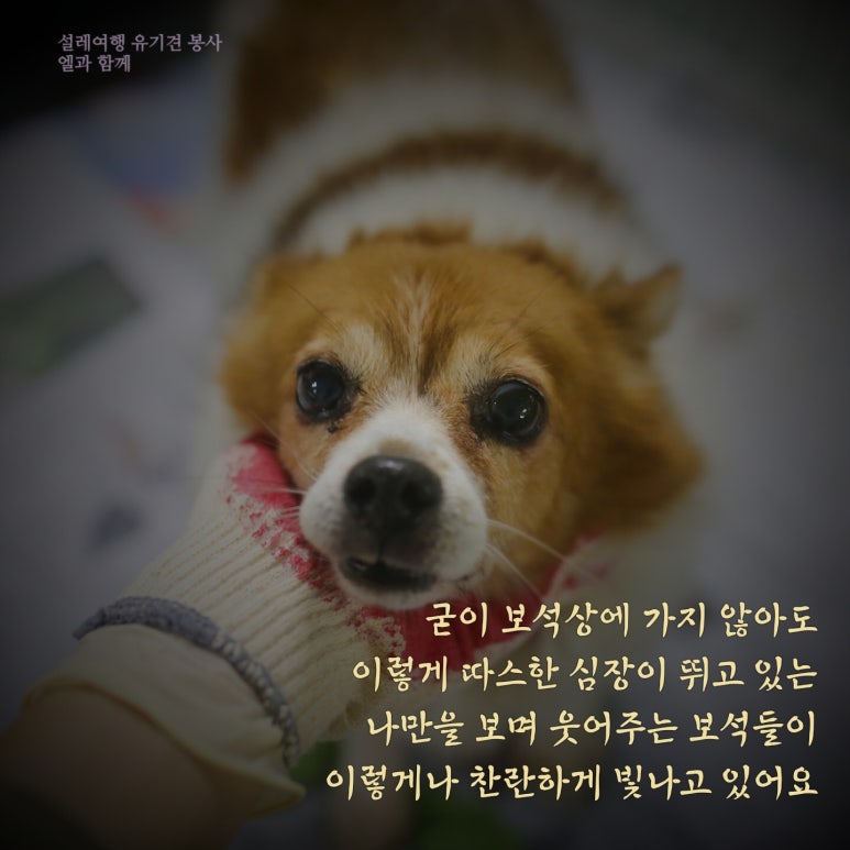 설레 이미지
