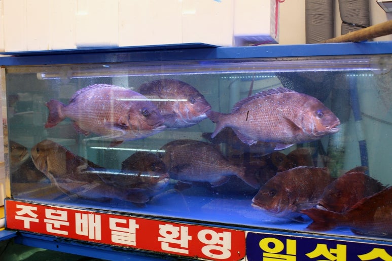 일성수산 이미지
