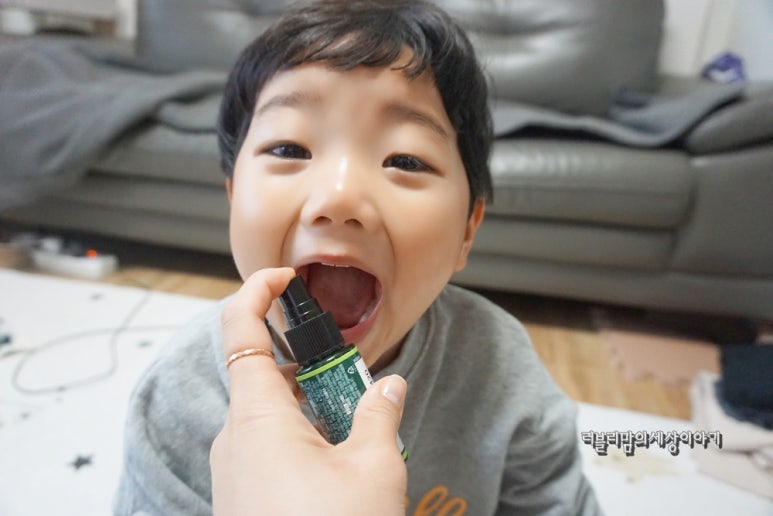 성운유치원.어린이집 이미지