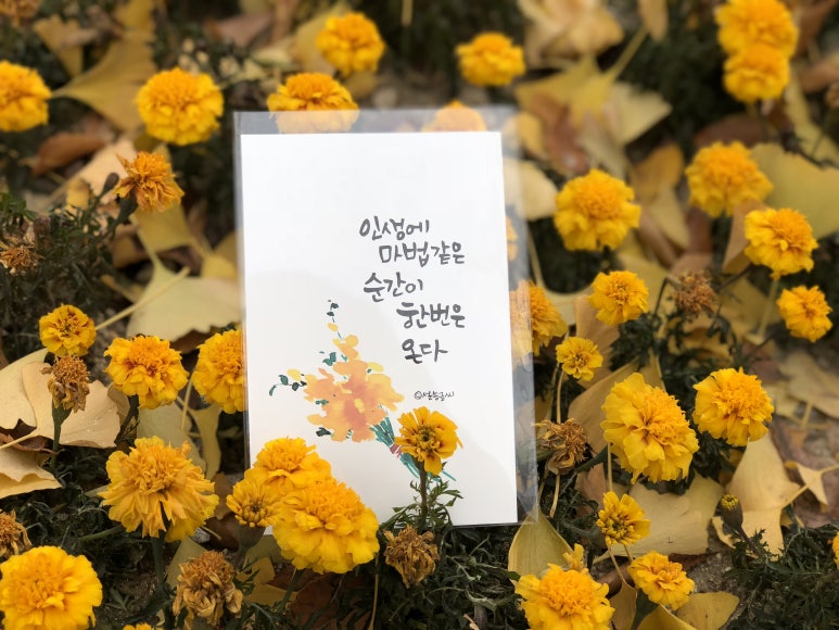 쓰담쓰담캘리공방 이미지