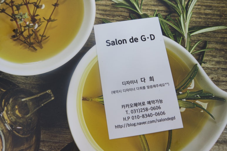 살롱 드 내 : 처음부터 끝까지 이미지