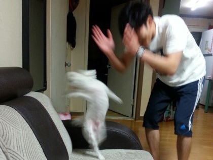 한강생고기집 이미지