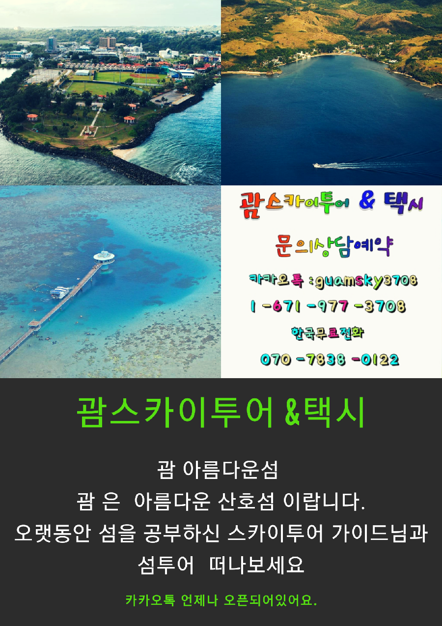 스카이투어서비스 이미지