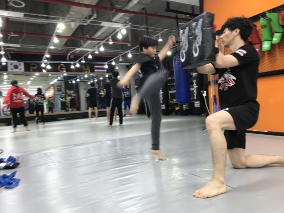 피제이미트 이미지