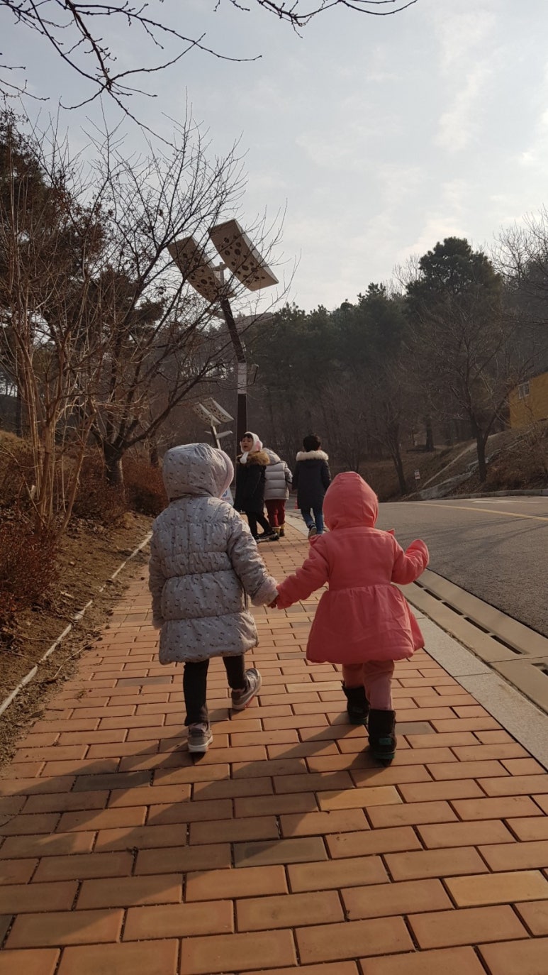 이천시 유아숲체험원 이미지
