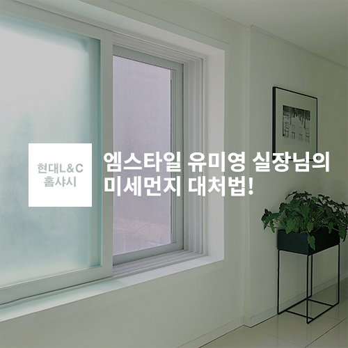 엠스타일 이미지