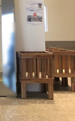 마당나온수탉 이미지
