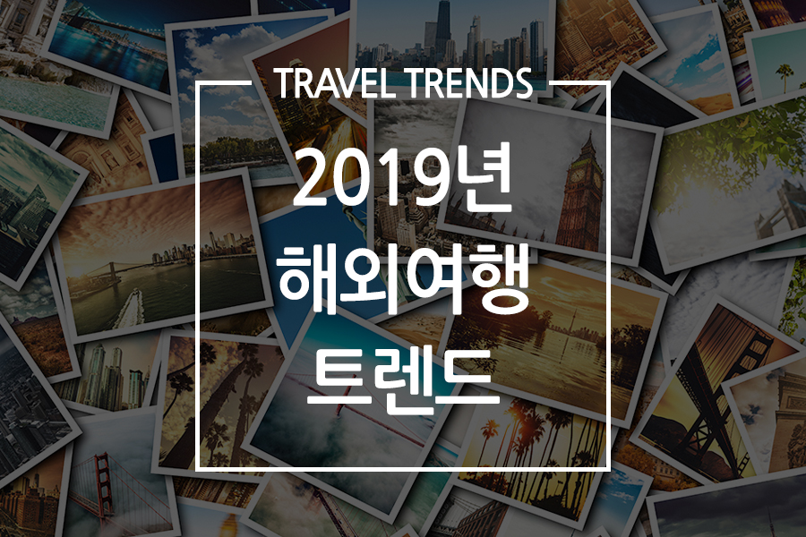 트렌드투어 이미지