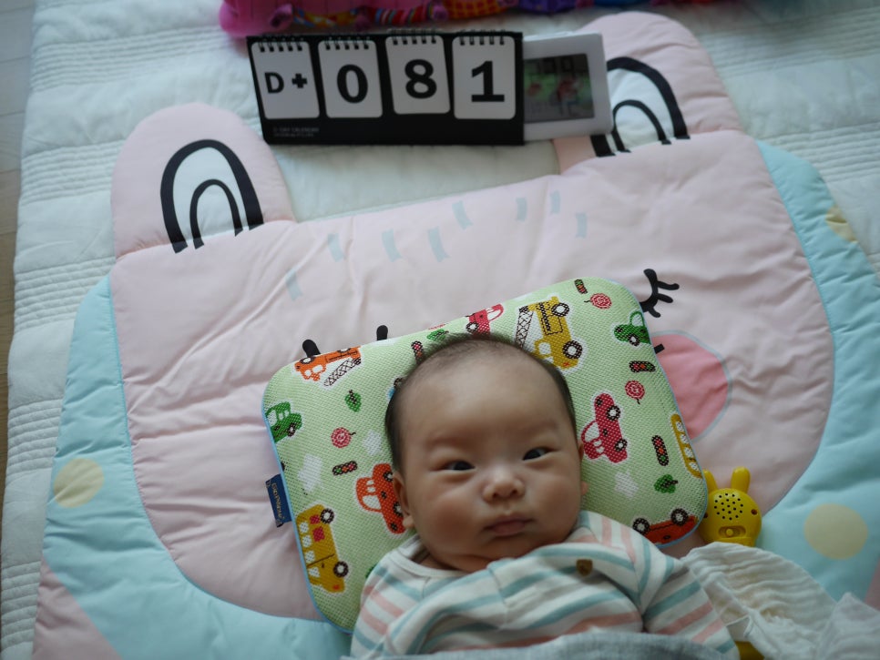 토리81 이미지
