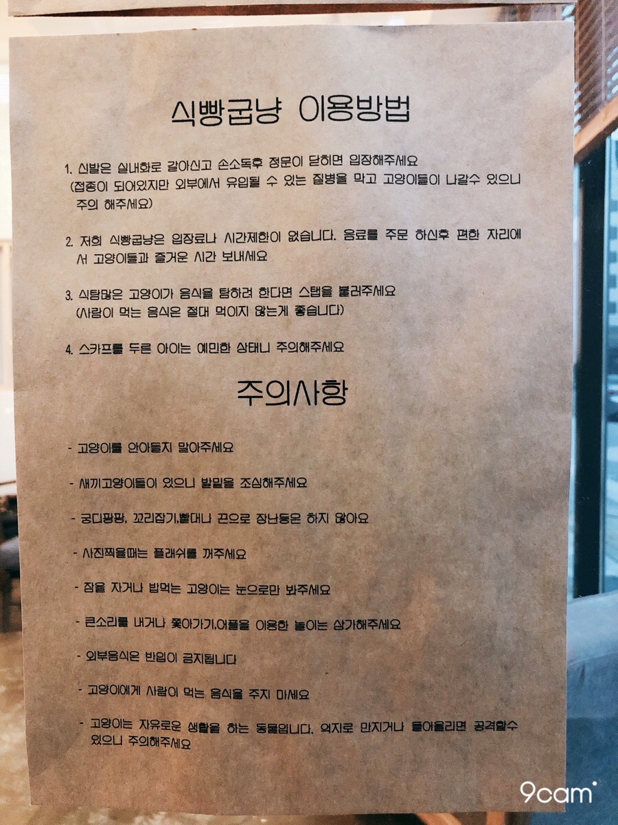 식빵굽냥 이미지