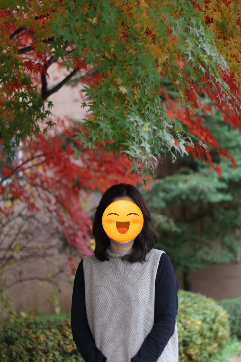 DSLR존 이미지