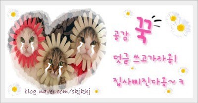 본죽&비빔밥 아산모종점 이미지