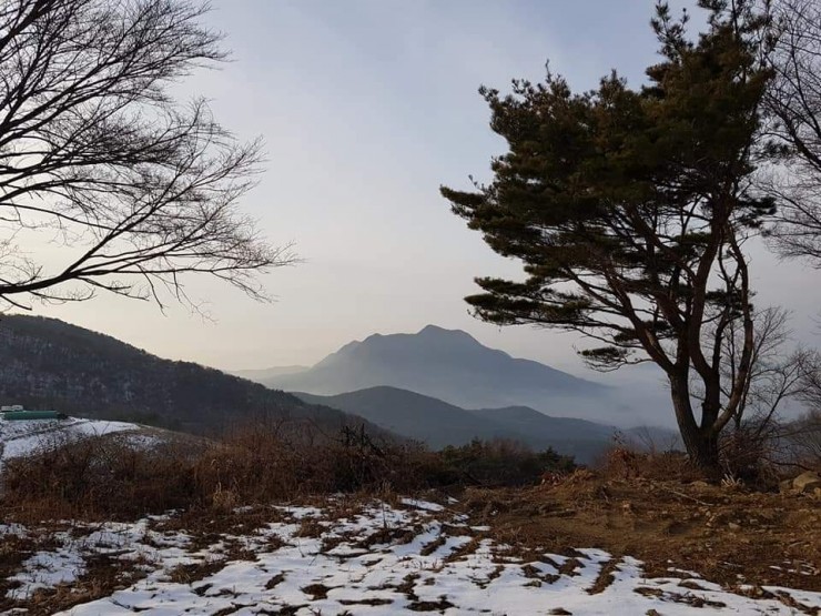 산촌식품 이미지
