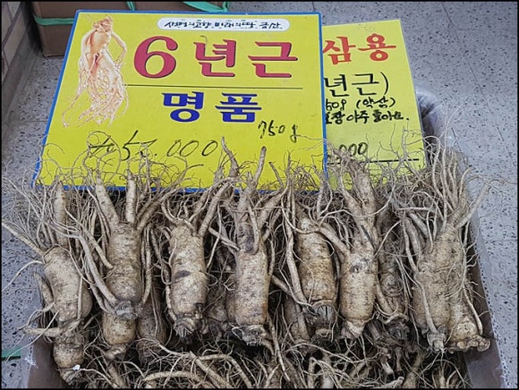금산인삼사 이미지