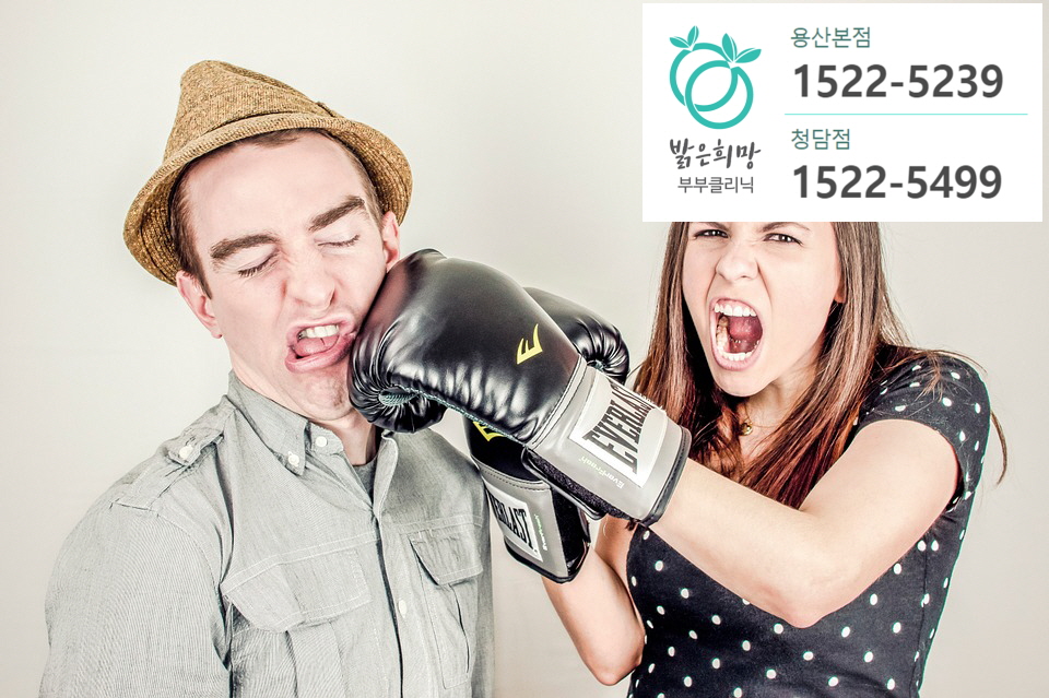부부양말 이미지