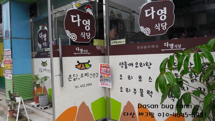 다영식당 이미지