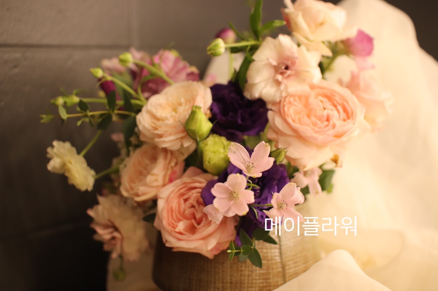 메이플라워데코 이미지