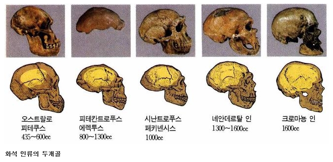 미씽링크 이미지