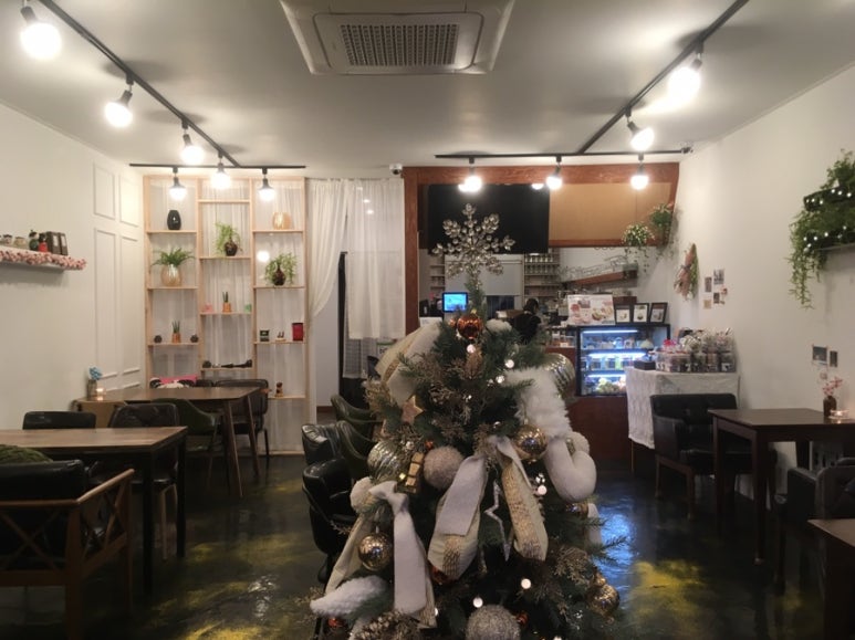 오찌(oggi) 이미지