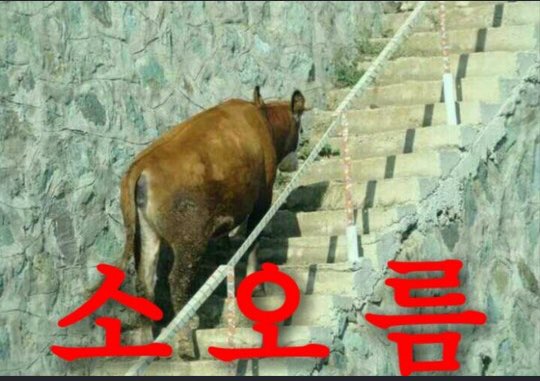 럭셔리수룸소주방 이미지